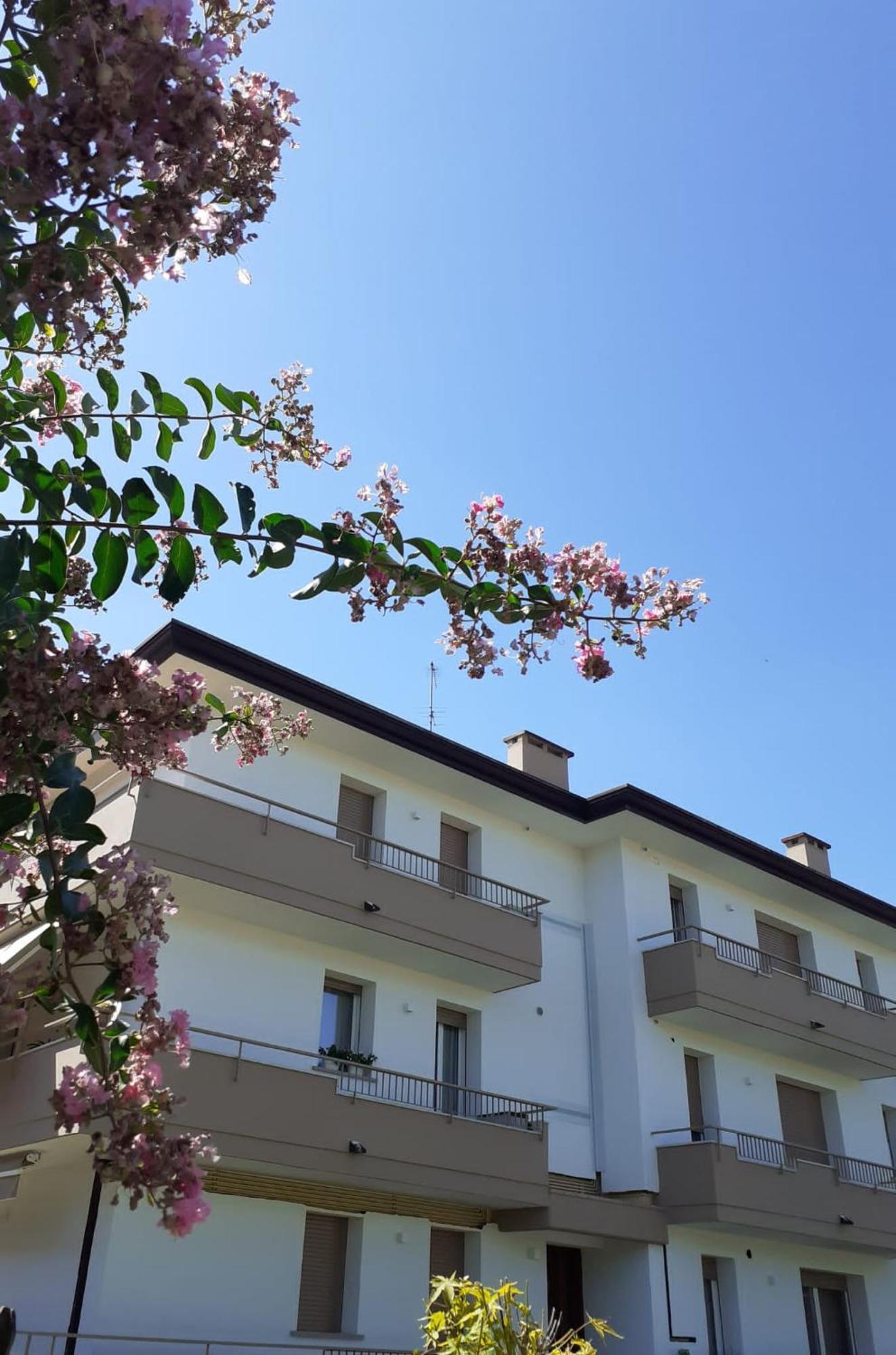 Apartment Casanita *